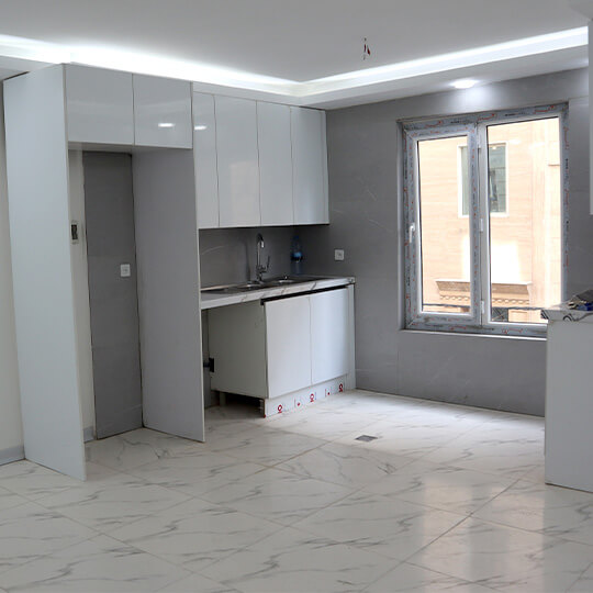 پروژه استاد معین